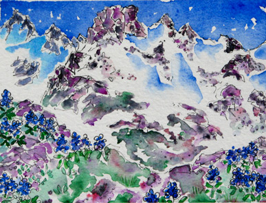 Lupines, Garibaldi Park